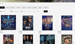 视频网站制作,技术解析与运营策略全解析